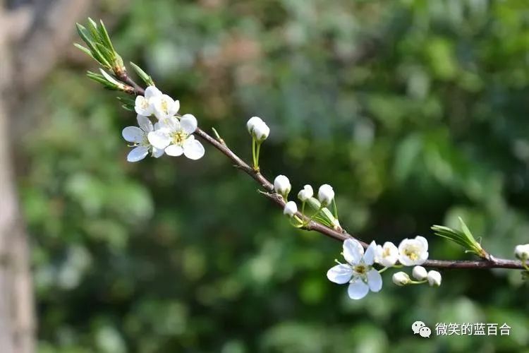 岁月安生时光静好,岁月静好万物皆期待