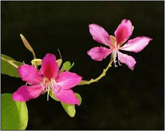 早安励志语录正能量,4月正能量励志语录