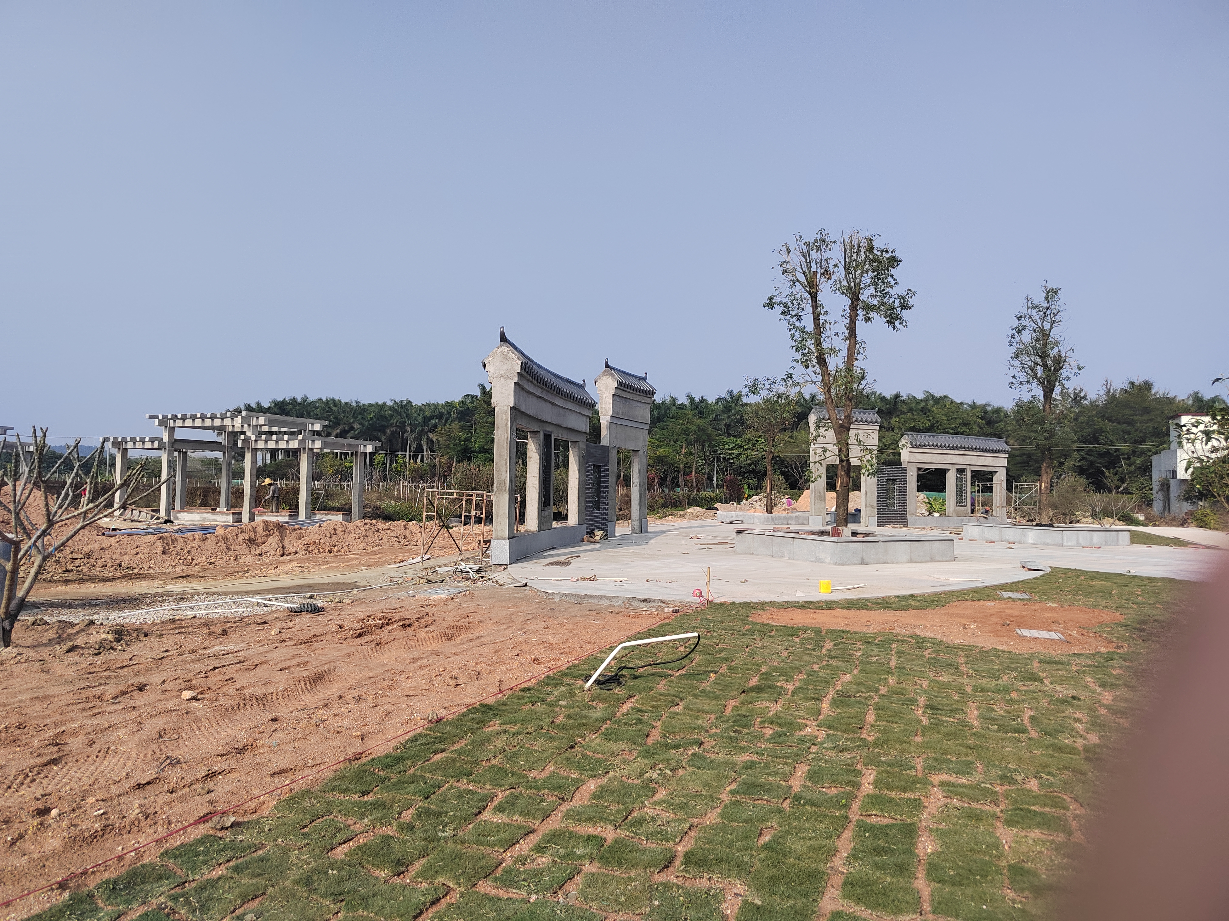 江门新会旅游景点小鸟的天堂,新会小鸟天堂历史记录