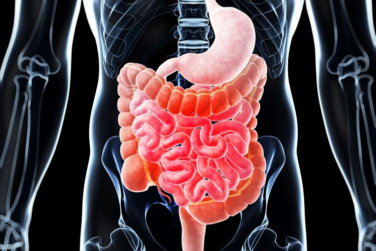 针刀治疗肛裂,有什么生肌药治疗肛裂