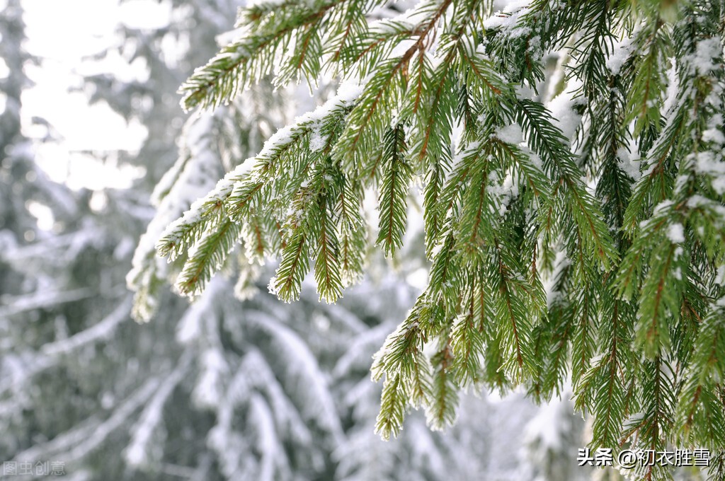 描写农历十月的优美古诗词,赞美金秋十月的古诗