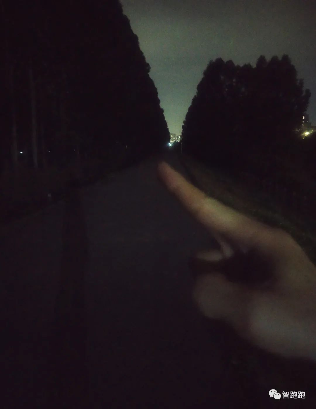 孙宇晨发家史,孙晨宇创业