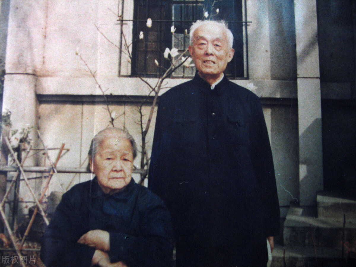 季羡林故居被盗案宣判,季羡林文物被盗审判视频