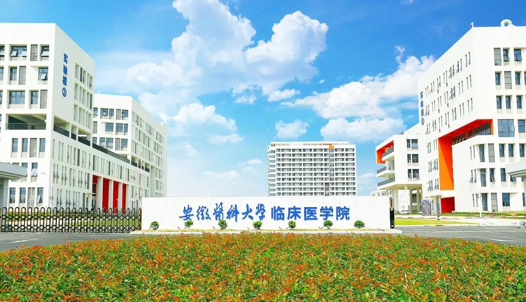 安医大独立学院未转设是影响蚌医和合院更名工作的唯一原因?