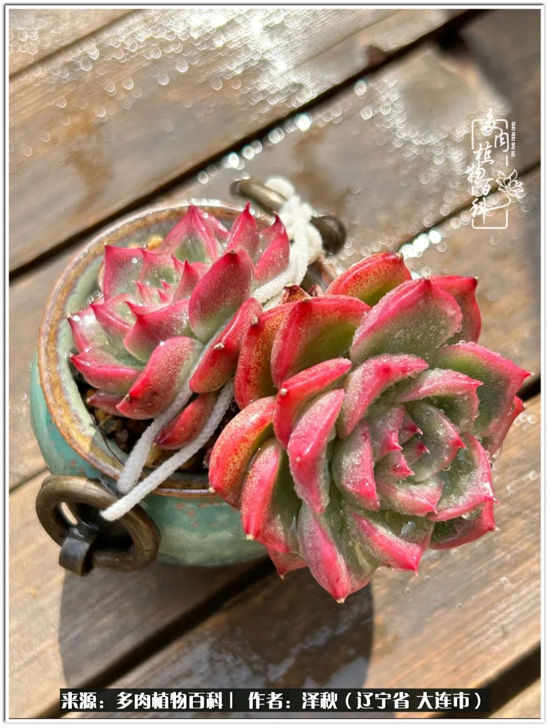 四季轮回之秋天,四季轮回之冬季