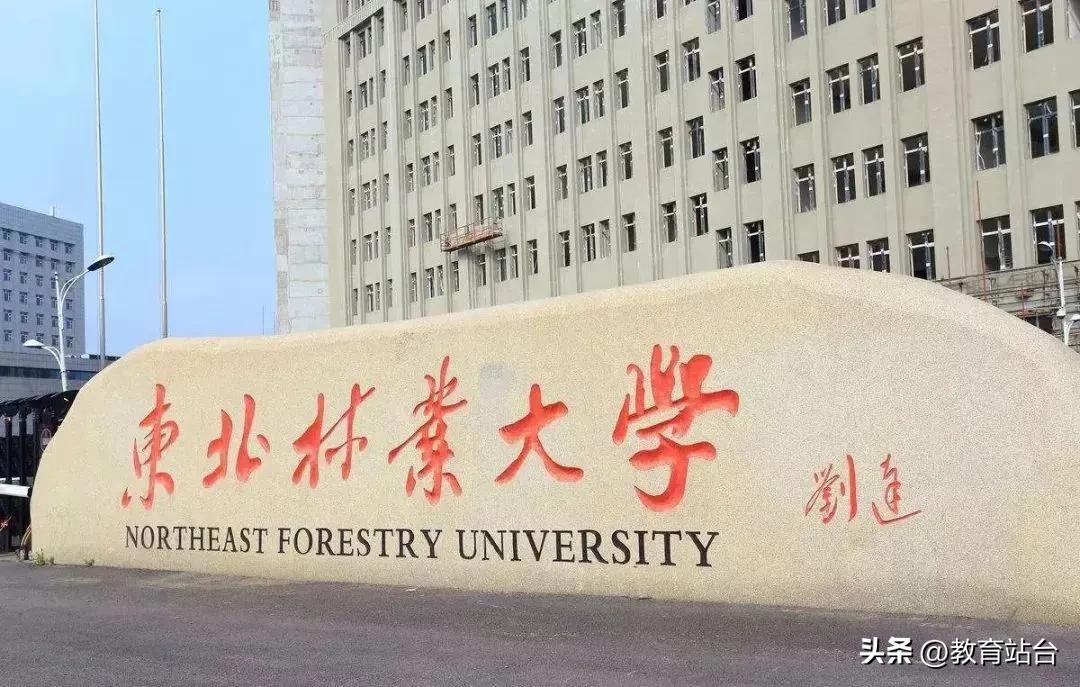 东北林业大学研究生可以跨考吗,东北林业大学机械专硕能跨考吗
