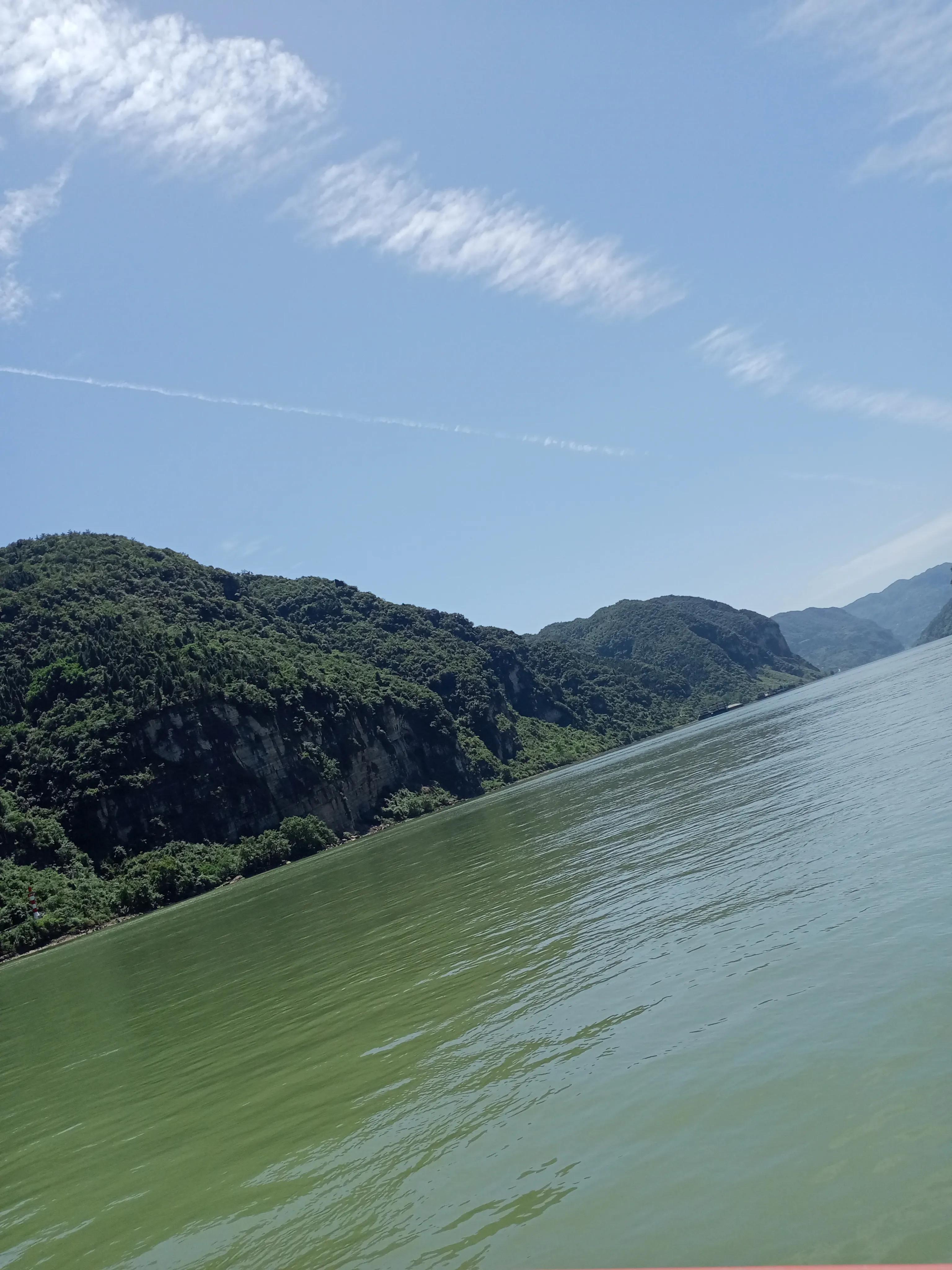 顾太健最新文章,顾太健视频