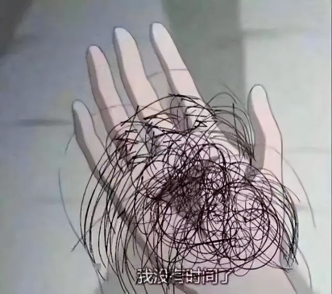 生姜洗发水真有防脱生发功能吗,哪个牌子生姜洗发水生发效果最好