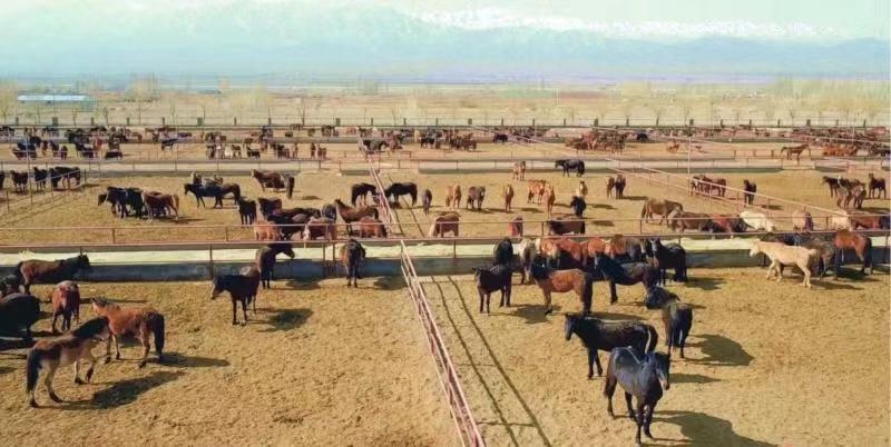 挑战“卡脖子”难题探路传染病防疫前沿