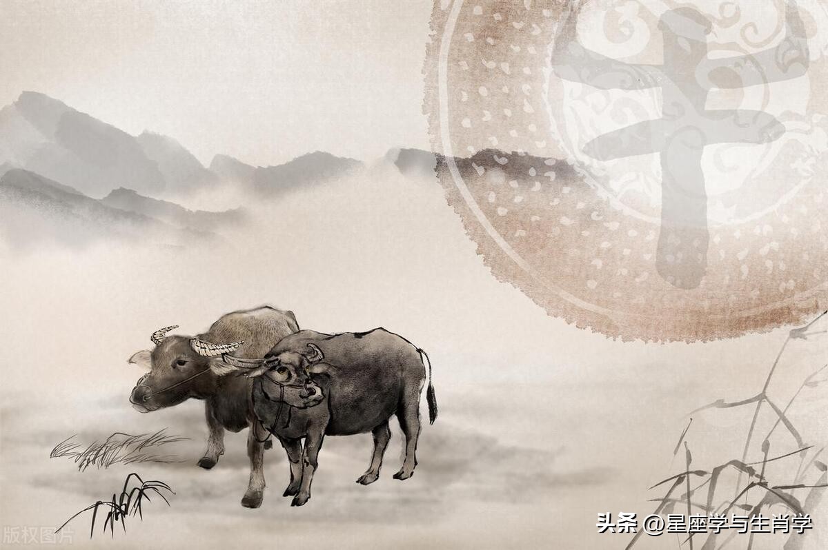 生肖牛的运势大全图解,2023年12月25日吉祥色