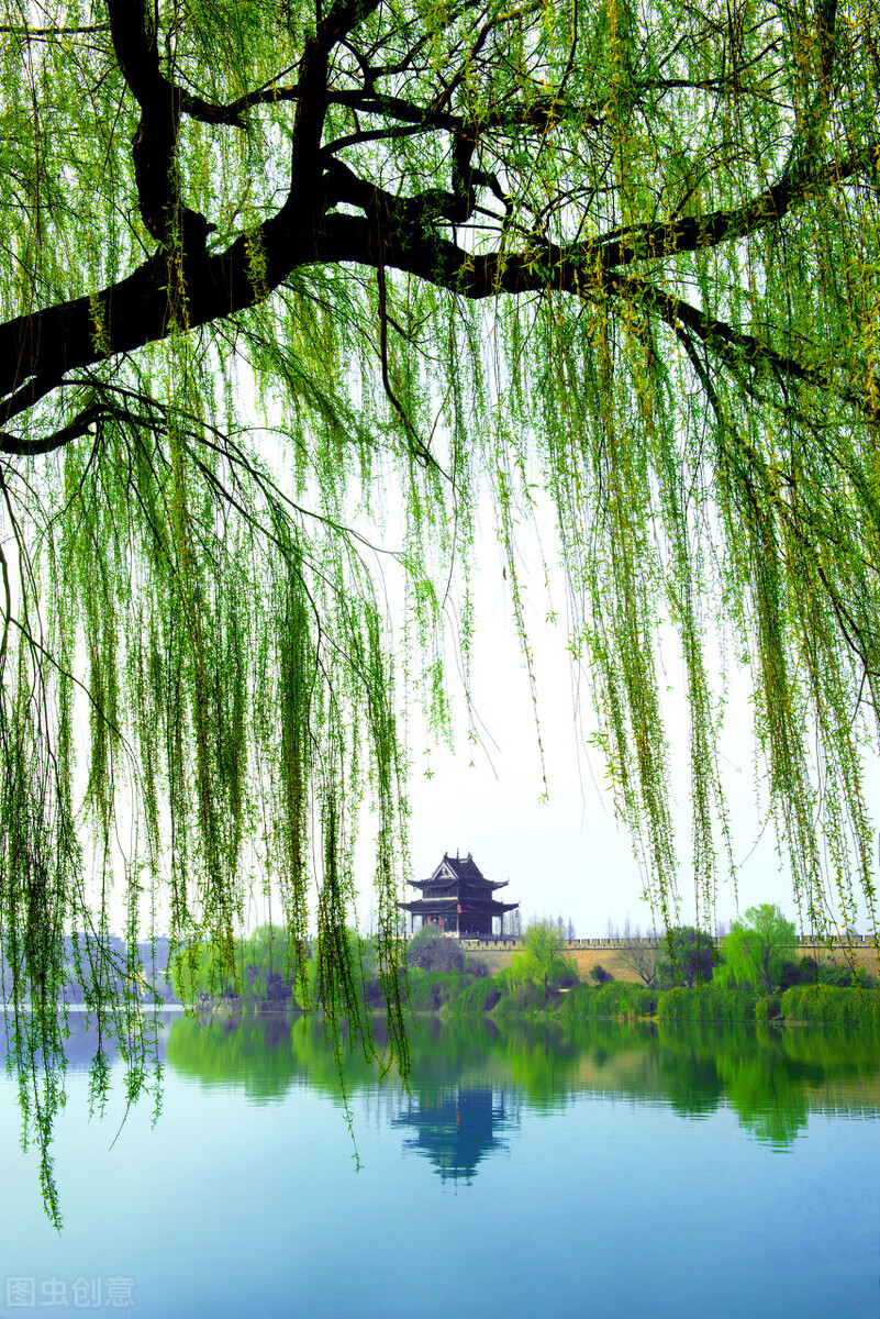 风吹杨柳万千条打一动物,风吹杨柳万千条解析