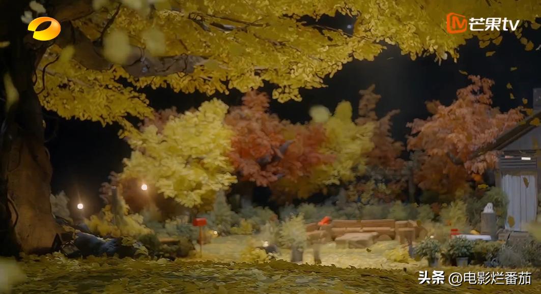 湖南台最近的综艺节目有哪些,湖南台的最新一期节目