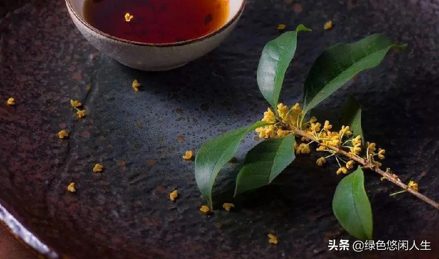 玉堂春富贵指哪些花,玉堂锦绣富贵春寓意