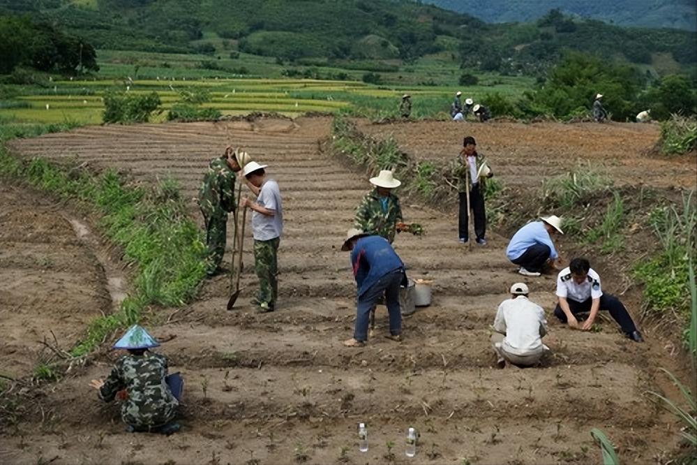 43岁农民陪女儿高考成大学辅导员,农民陪女儿高考