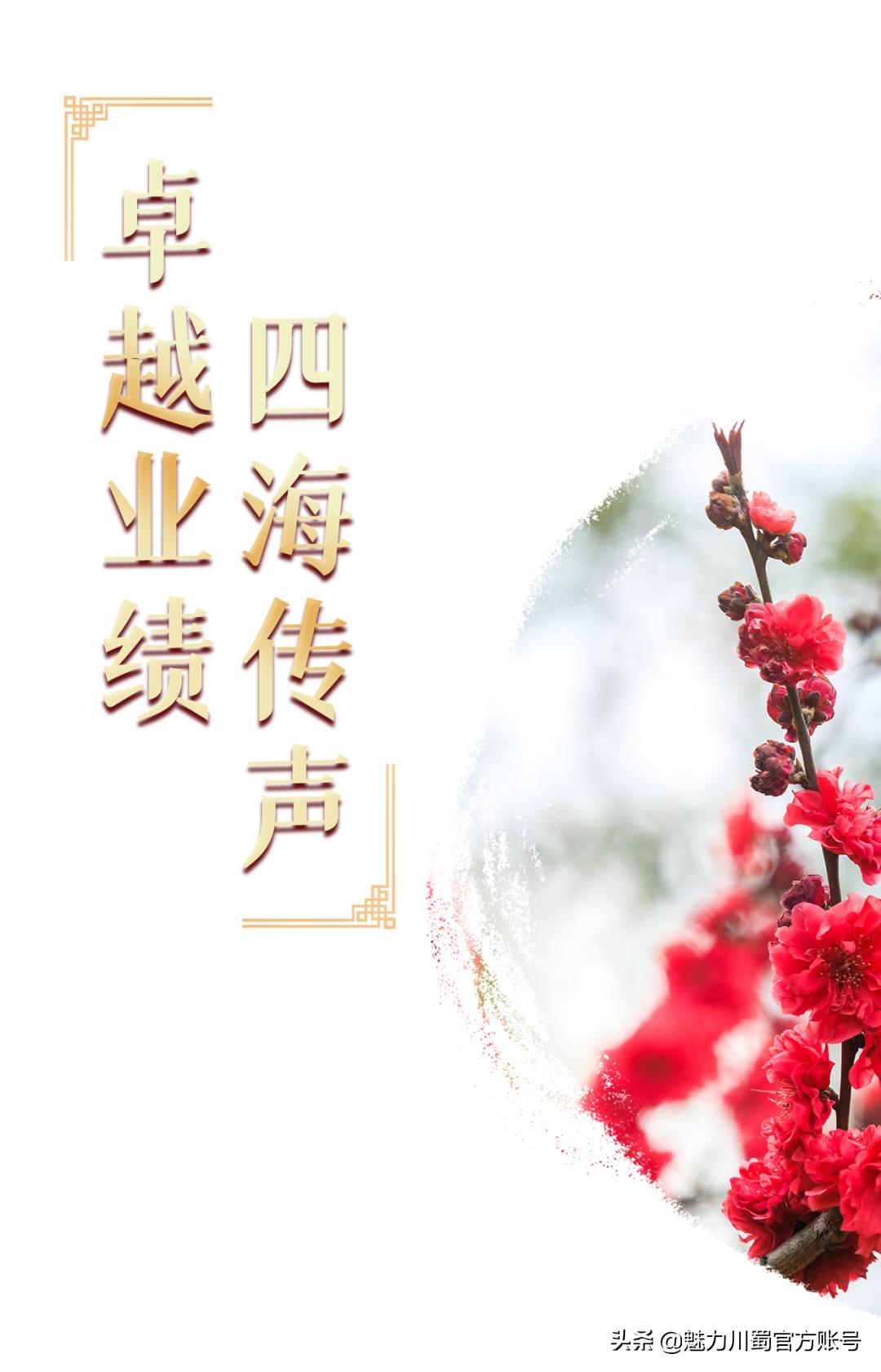 代码009，与未来快乐邂逅丨@中考学子，这里是绵阳中学实验学校