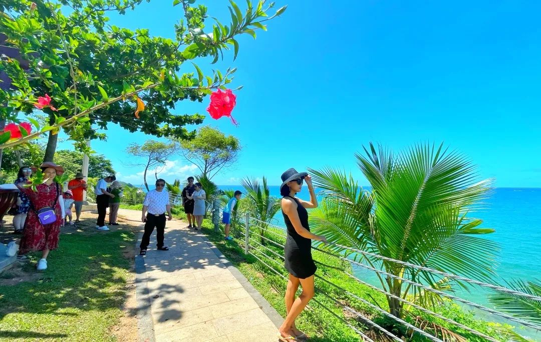 海南环岛自驾游6天住哪里,海南岛自驾性价比最高旅游攻略