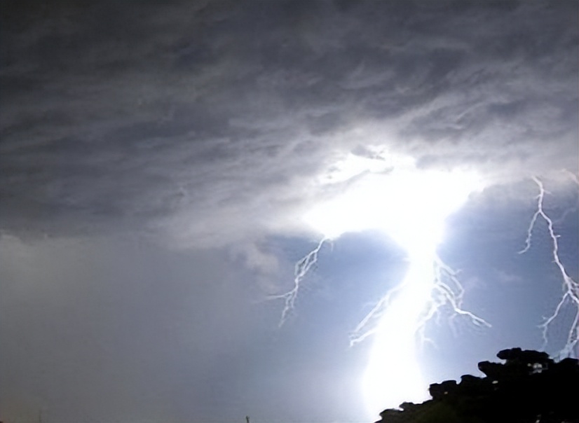 江苏射阳30米巨蟒,江苏射阳出现巨蟒了吗