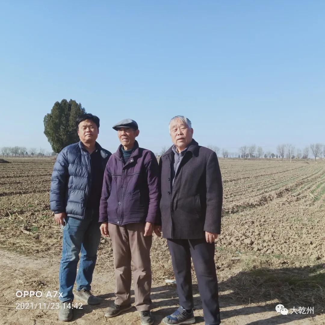 我的黄土地,我的黄土地歌词完整版