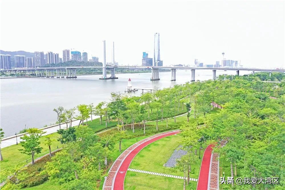 珠海春游赏花,珠海周边踏青景点