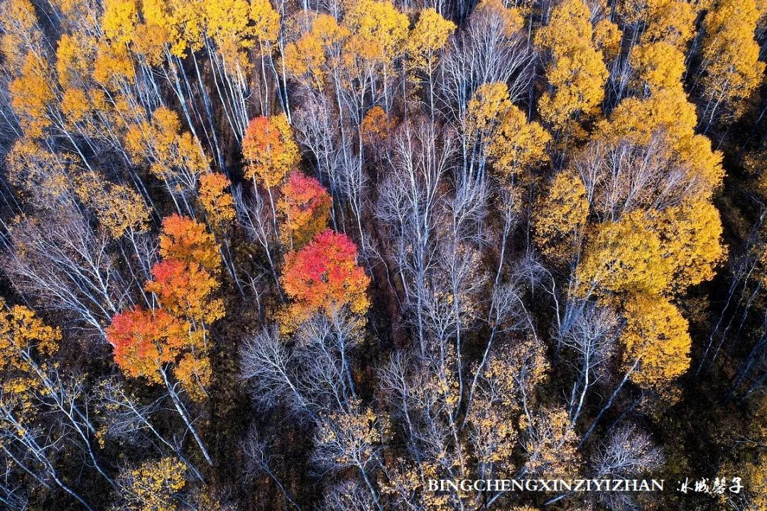 秋天大兴安岭最美的地方,秋天美丽的大兴安岭