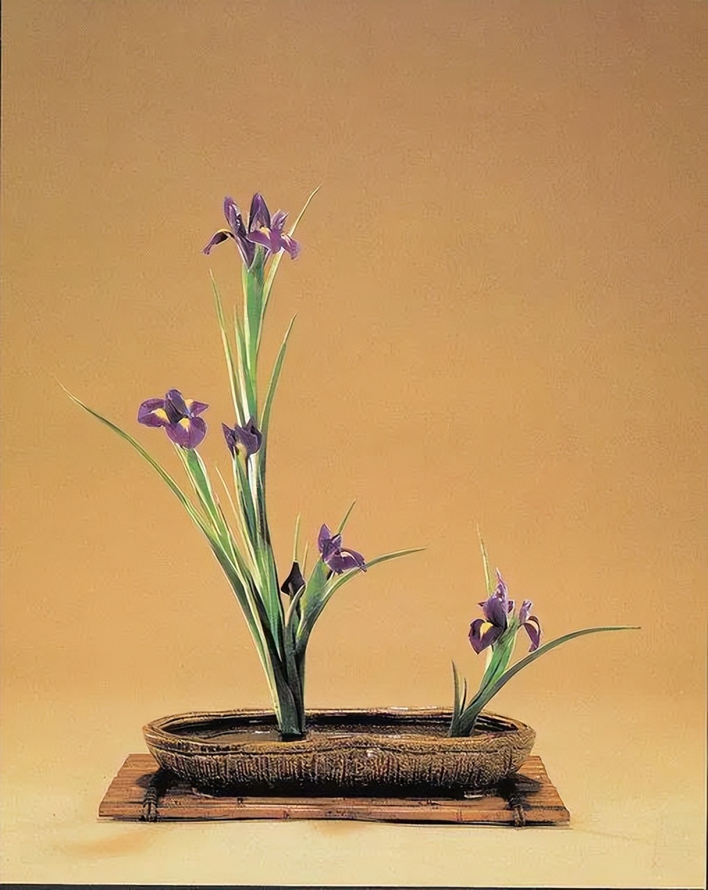 日式插花小原流花道,日式插花的13个基本技巧