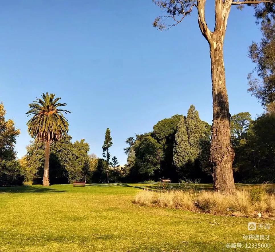 墨尔本旅游文化名城,游澳洲墨尔本