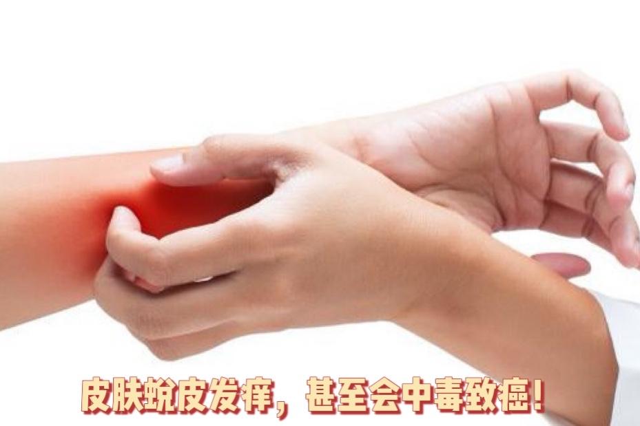 洗涤品牌第一,中国老字号品牌洗衣液