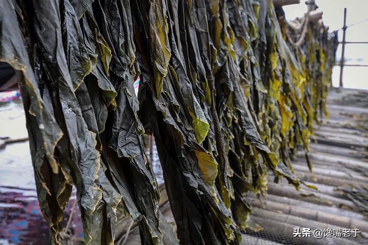 买海带的十大忌讳,买海带