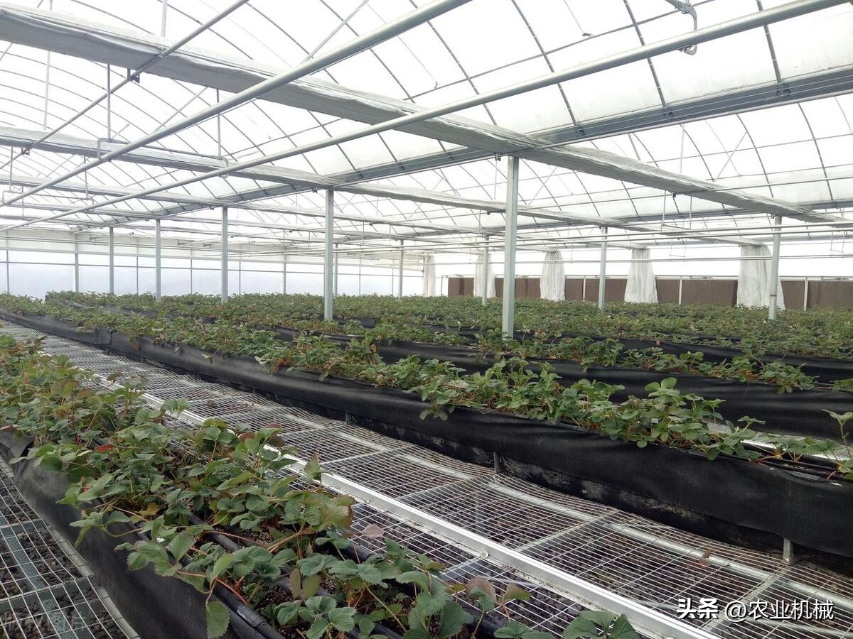 设施农业生产装备,机械农业设施农业
