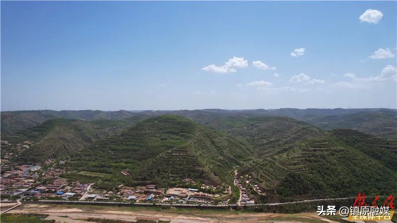 非常眼丨西野纵横战悦乐