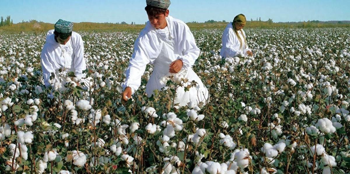 女汉奸袁莉还能回国吗,现代女汉奸袁莉