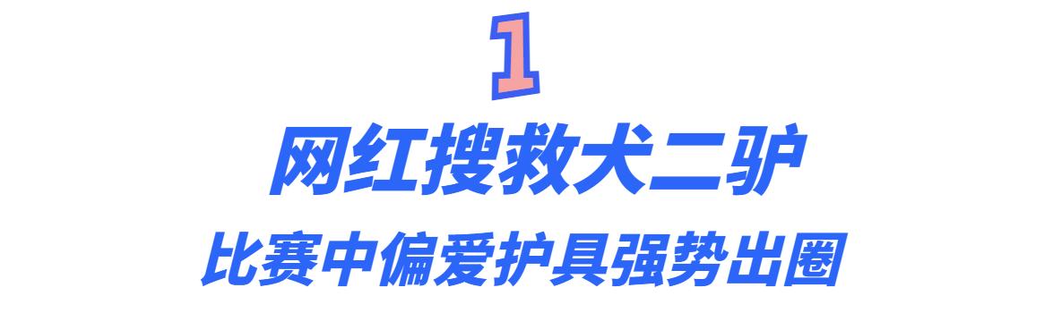 搜救犬二驴头条号,二驴搜救犬最新情况