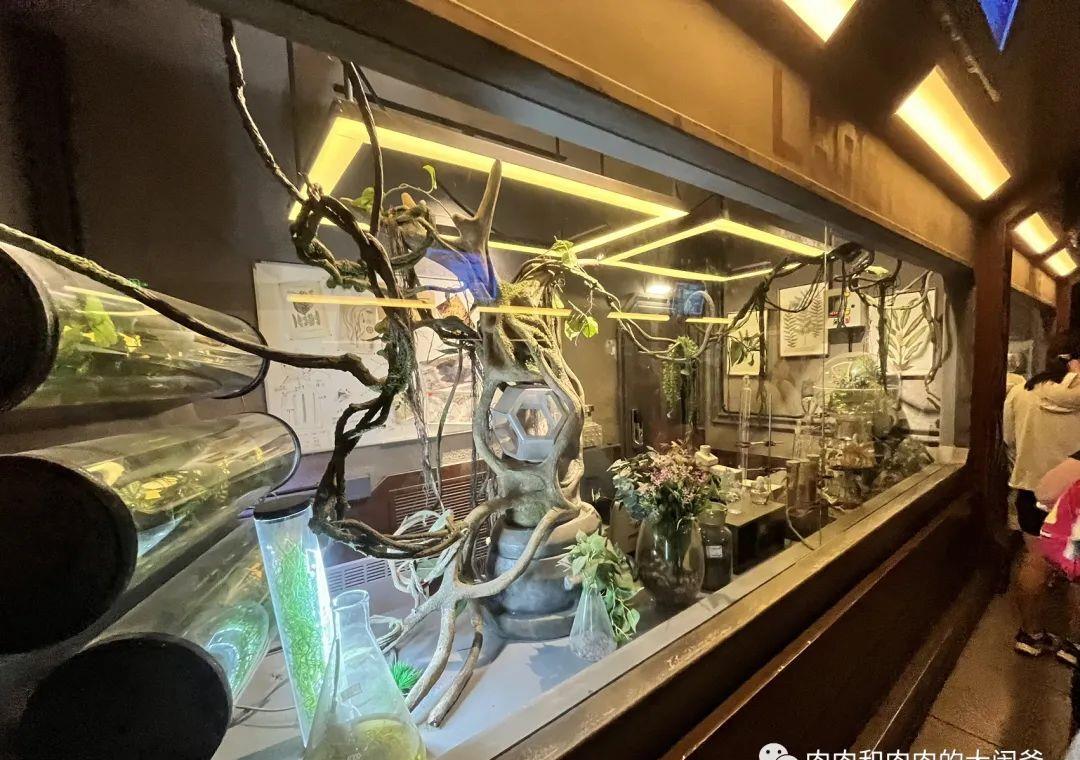 常州中华恐龙园有游泳的地方吗,常州中华恐龙园免费门票2022