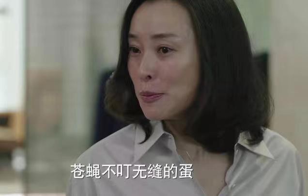 我的前半生凌玲为什么和前夫离婚,我的前半生凌玲为什么离婚