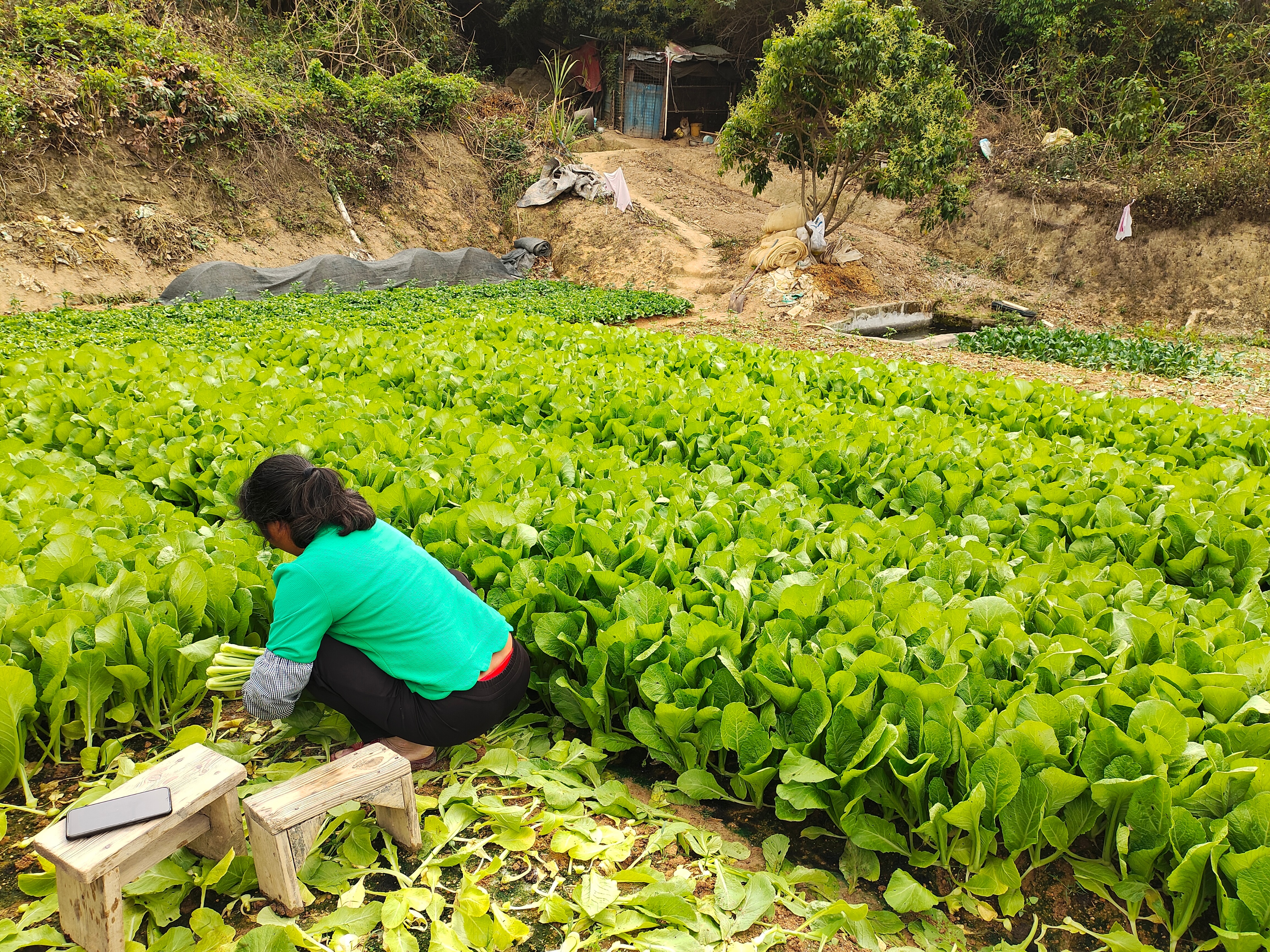 公司团建策划方案深圳,高端团建策划方案