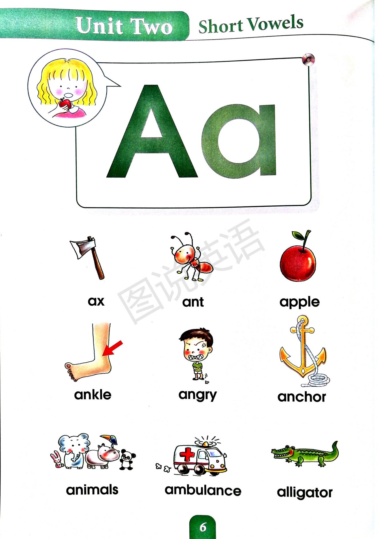 一口背,一口学会国际音标