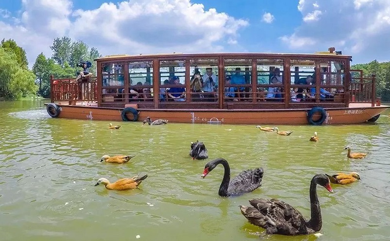 上海嘉定十大旅游景点,上海宝山区十大景点