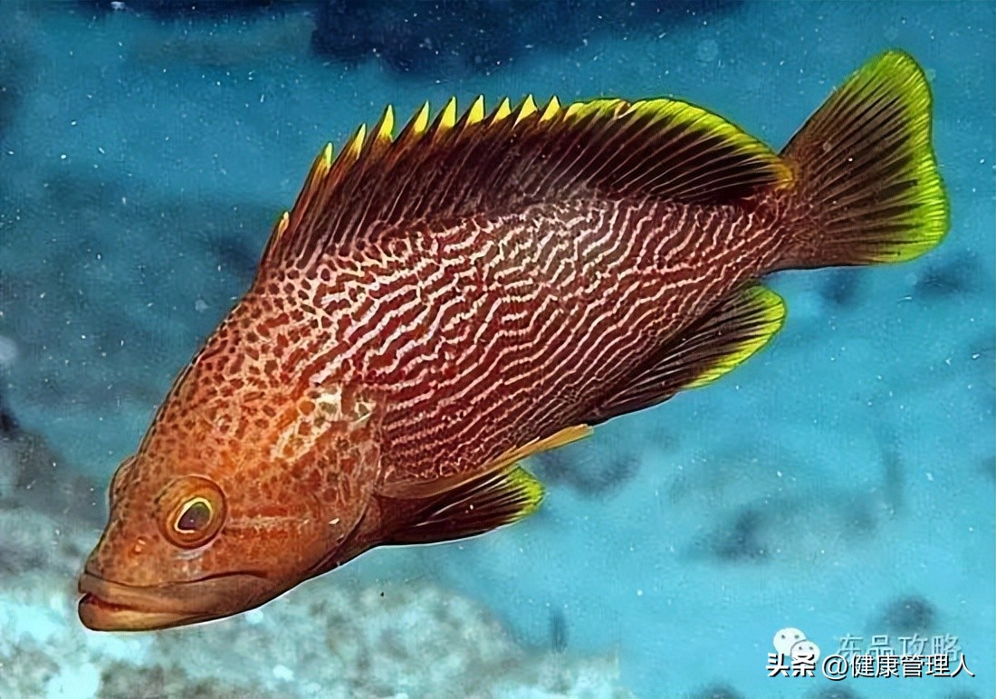 美容护肤食疗方案,美容护肤养生介绍