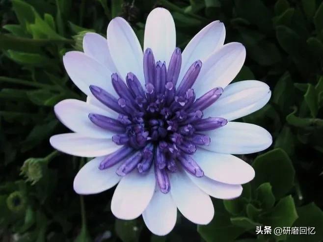 生命只有一次别活得太累,生命只有一次别让自己活得太累了