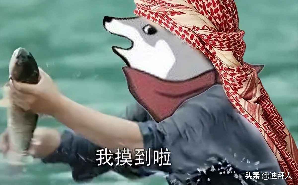 阿联酋为啥这么有钱,阿联酋为什么那么多有钱人