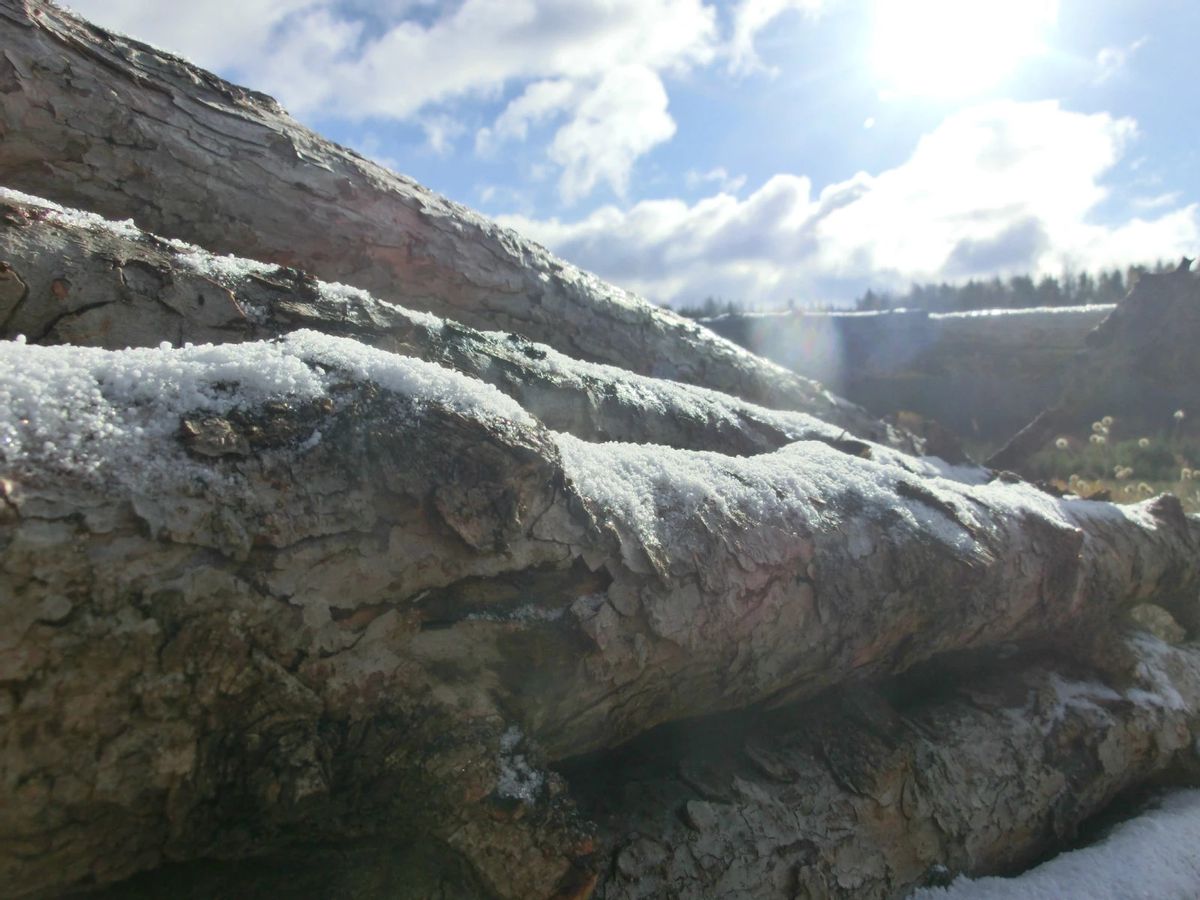 金秋时节登山视频,金秋登太行免费完整版