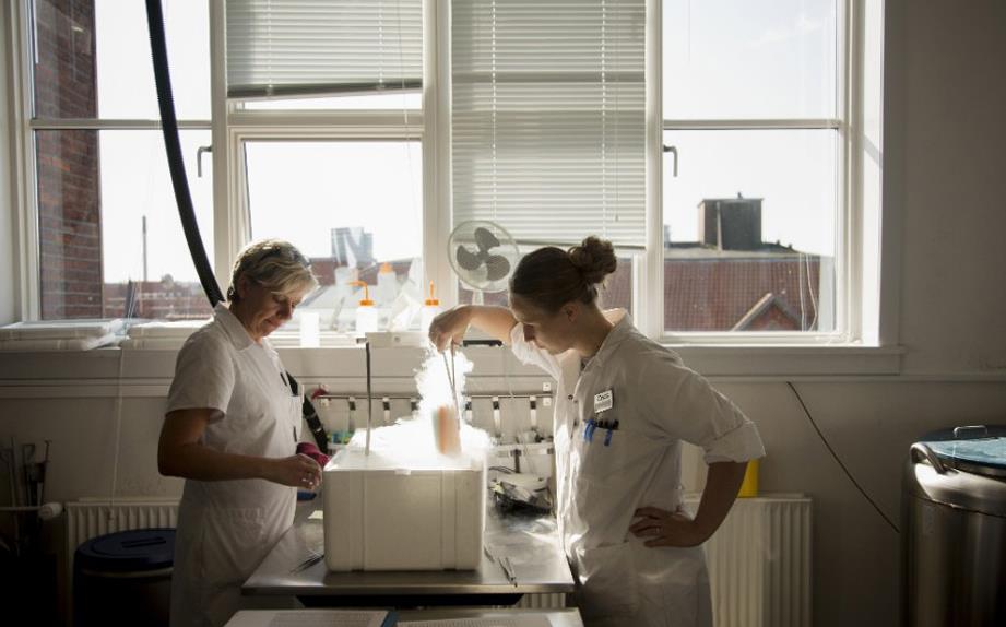 日本男人没有工作会失去妻子吗,日本马斯克