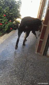 伴娘抢了新娘风头躲角落,伴娘躲在角落玩手机很漂亮