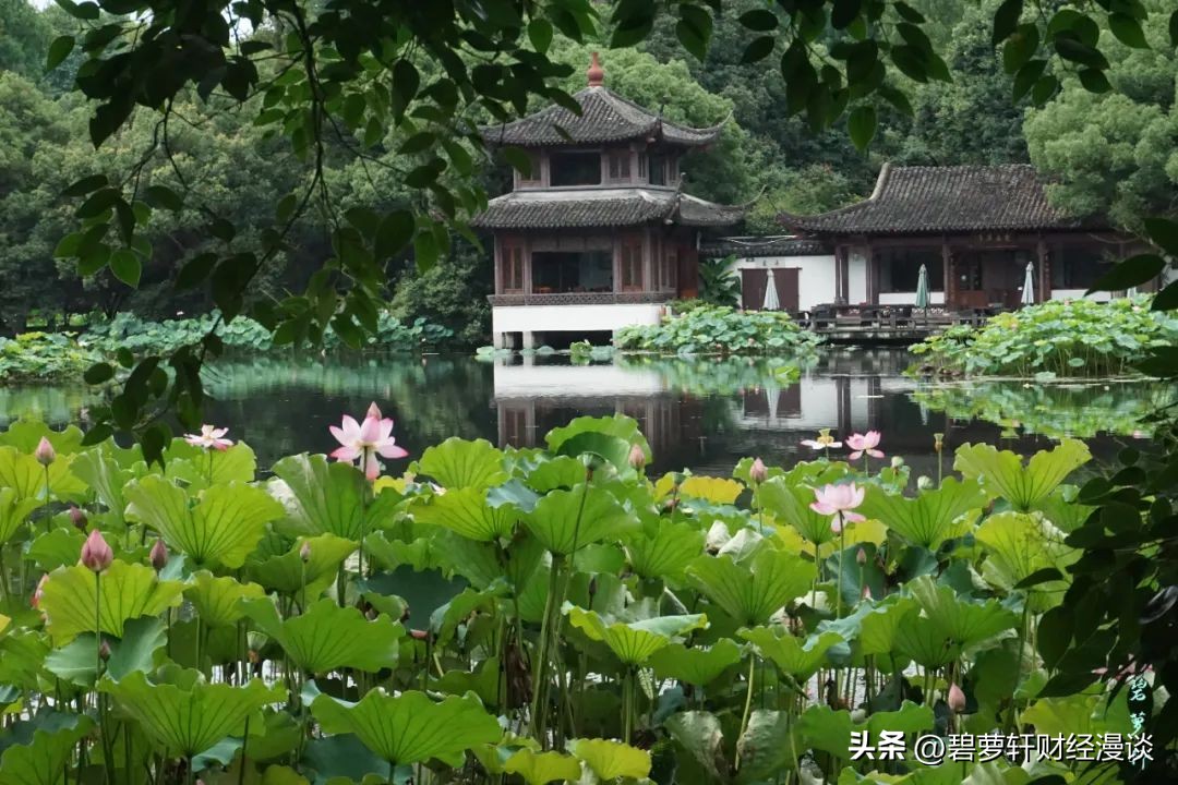 长沙第一波赏荷地图,杭州夏日赏荷地图