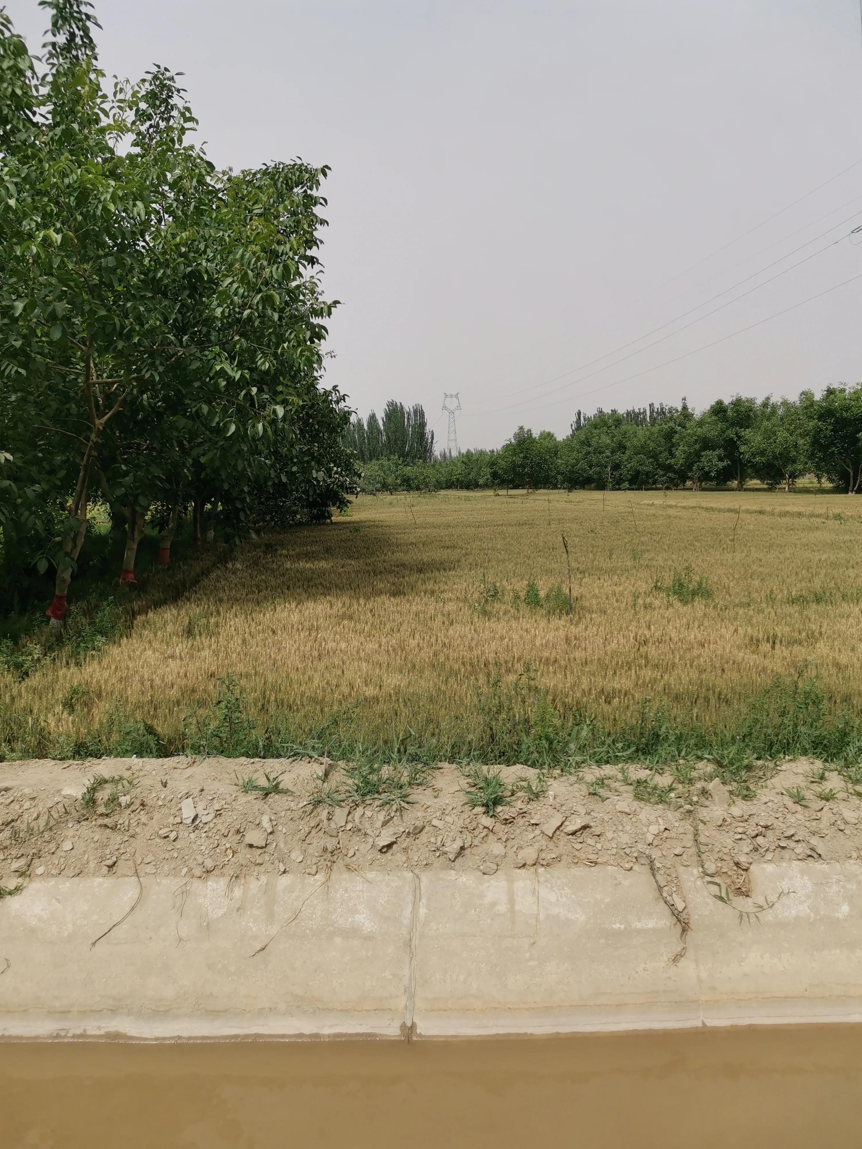 骑行新疆喀什噶尔,和田至阿拉尔沙漠公路骑行攻略