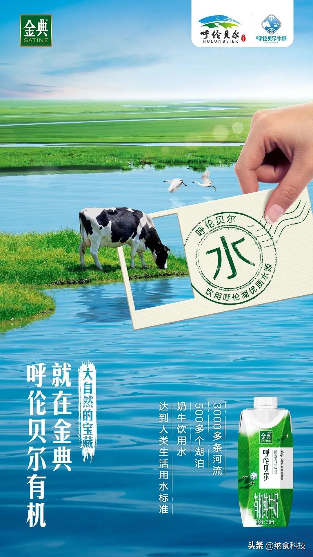 金典限定呼伦贝尔有机纯牛奶卖点,金典有机呼伦贝尔牛奶卖点