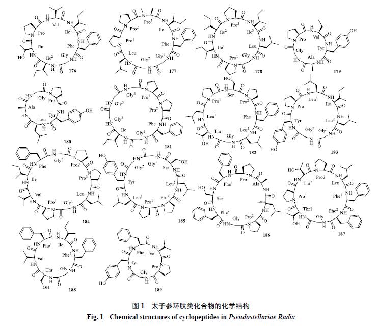 太子参的化学成分、药理作用和应用进展