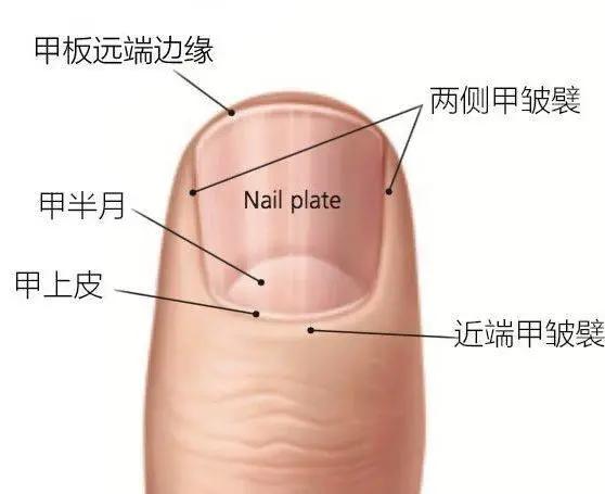 很喜欢美甲怎么办,美甲后的指甲特别薄很疼怎么保护