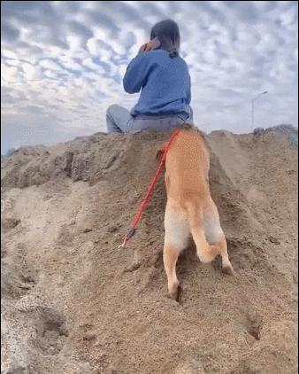 有趣又搞笑的动图,搞笑动图大杂烩