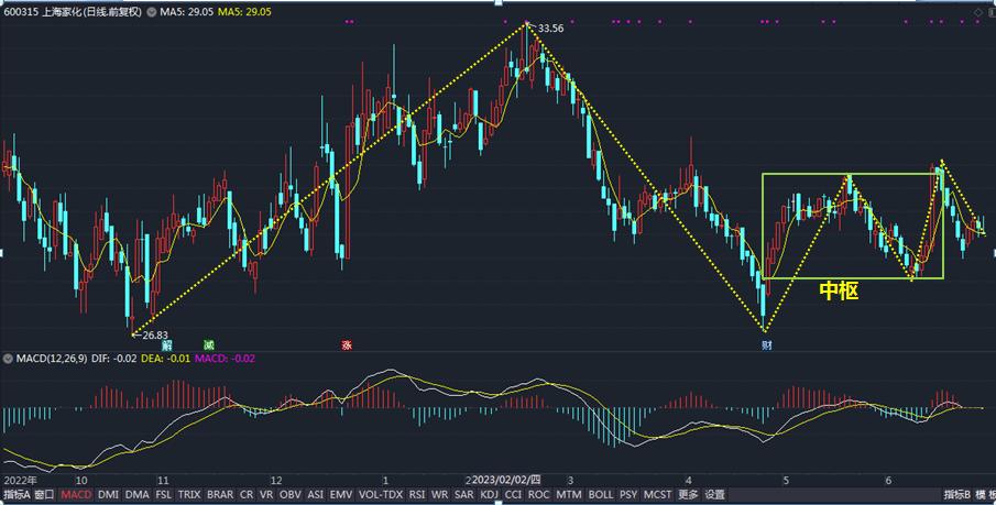 600315上海家化千股千评,上海家化股票最新分析